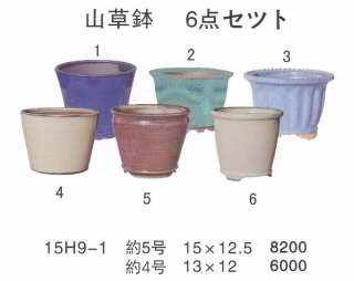盆栽鉢販売一覧 - FROM JAPAN (Page 5)