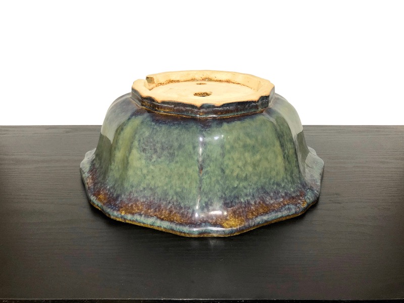 和鉢の販売通販専門店：常滑鉢 「鴻陽」 緑釉外縁輪花鉢/FROM JAPAN